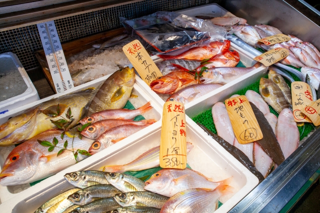 2t・4t活魚車両活魚・生鮮食品配送